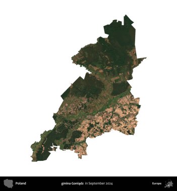 gmina Goniadz. Polonya idari bölgesi, Eylül 2024 'te çekilen Kopernik Nöbetçi karolarından oluşan bir uydu görüntüsü üzerinde beyaza izole edildi.