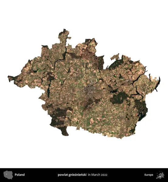 powiat gnieznienski. Polonya idari bölgesi, Mart 2022 'de çekilen Kopernik Nöbetçi karolarından oluşan bir uydu görüntüsü üzerinde beyaza izole edildi.