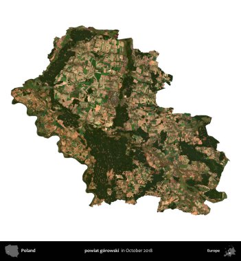 powiat gorowski. Polonya idari bölgesi, Ekim 2018 'de çekilen Kopernik Nöbetçi karolarından oluşan bir uydu görüntüsü üzerinde beyaza izole edildi.