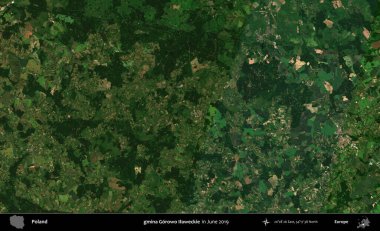 gmina Gorowo Ilaweckie. Copernicus Sentinel 'in Haziran 2019' da çekilmiş uydu görüntüsü üzerine Polonya 'nın idari bölgesi.