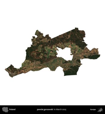 powiat gorzowski. Polonya idari bölgesi, Mart 2025 'te çekilen Kopernik Nöbetçi karolarından oluşan bir uydu görüntüsü üzerinde beyaza izole edildi.