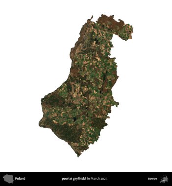 powiat gryfinski. Polonya idari bölgesi, Mart 2025 'te çekilen Kopernik Nöbetçi karolarından oluşan bir uydu görüntüsü üzerinde beyaza izole edildi.