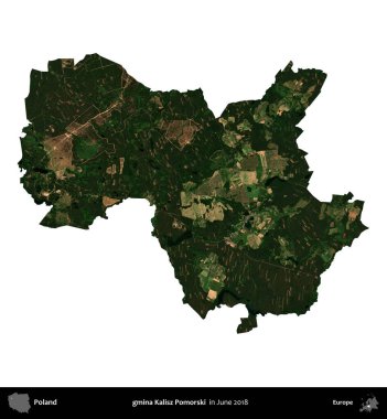 gmina Kalisz Pomorski. Polonya idari bölgesi, Haziran 2018 'de çekilen Kopernik Nöbetçi karolarından oluşan bir uydu görüntüsü üzerinde beyaza izole edildi.