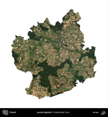 powiat kepinski. Polonya idari bölgesi, Eylül 2024 'te çekilen Kopernik Nöbetçi karolarından oluşan bir uydu görüntüsü üzerinde beyaza izole edildi.