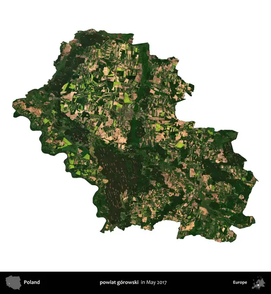 powiat gorowski. Polonya idari bölgesi, Mayıs 2017 'de çekilen Kopernik Nöbetçi karolarından oluşan bir uydu görüntüsü üzerinde beyaza izole edildi.
