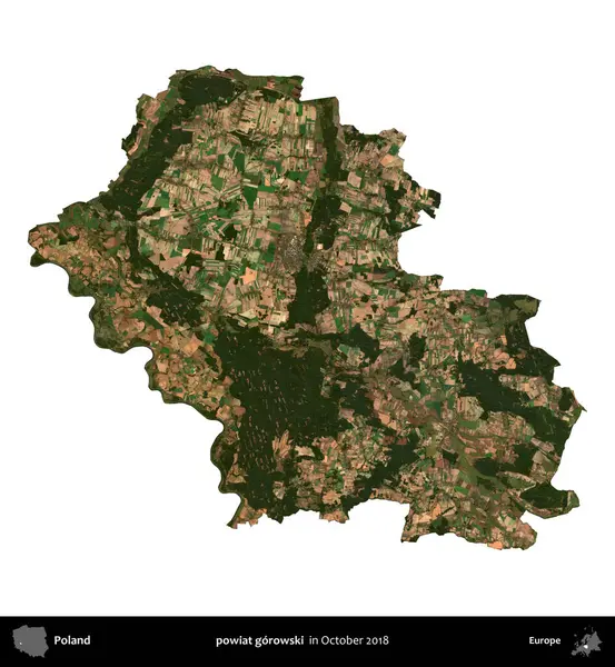 powiat gorowski. Polonya idari bölgesi, Ekim 2018 'de çekilen Kopernik Nöbetçi karolarından oluşan bir uydu görüntüsü üzerinde beyaza izole edildi.