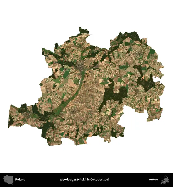 powiat gostynski. Polonya idari bölgesi, Ekim 2018 'de çekilen Kopernik Nöbetçi karolarından oluşan bir uydu görüntüsü üzerinde beyaza izole edildi.