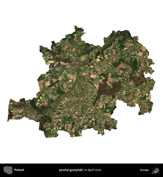 powiat gostynski. Polonya idari bölgesi, Nisan 2020 'de çekilen Kopernik Nöbetçi karolarından oluşan bir uydu görüntüsü üzerinde beyaza izole edildi.