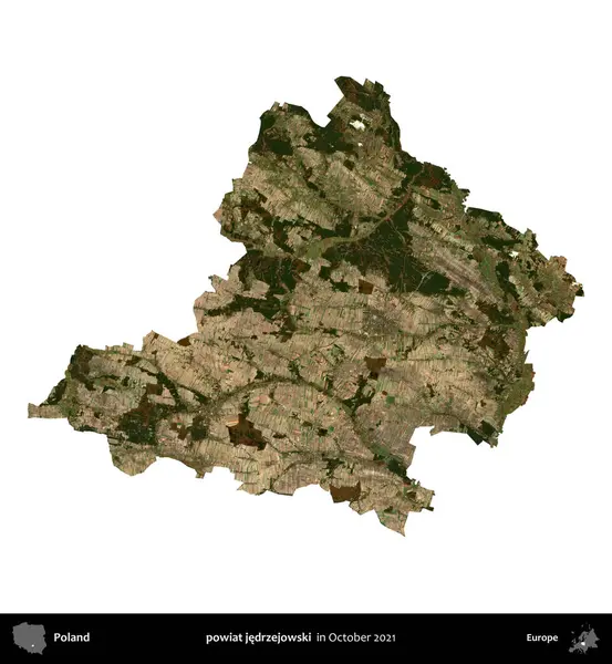 powiat jedrzejowski. Polonya idari bölgesi, Ekim 2021 'de çekilen Kopernik Nöbetçi karolarından oluşan bir uydu görüntüsü üzerinde beyaza izole edildi.