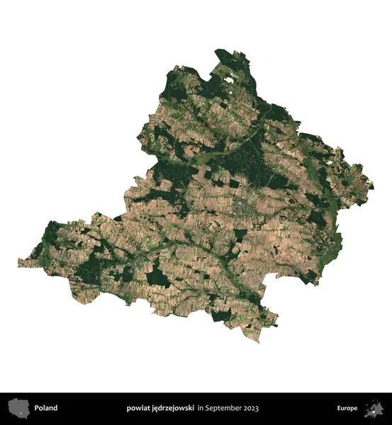 powiat jedrzejowski. Polonya idari bölgesi, Eylül 2023 'te çekilen Kopernik Nöbetçi karolarından oluşan bir uydu görüntüsü üzerinde beyaza izole edildi.