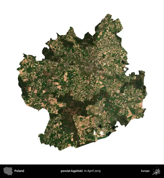 powiat kepinski. Polonya idari bölgesi, Nisan 2019 'da çekilen Kopernik Nöbetçi karolarından oluşan bir uydu görüntüsü üzerinde beyaza izole edildi.