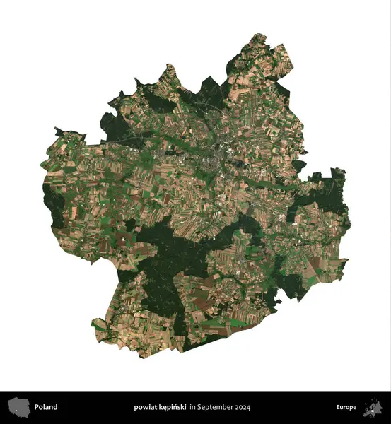 powiat kepinski. Polonya idari bölgesi, Eylül 2024 'te çekilen Kopernik Nöbetçi karolarından oluşan bir uydu görüntüsü üzerinde beyaza izole edildi.