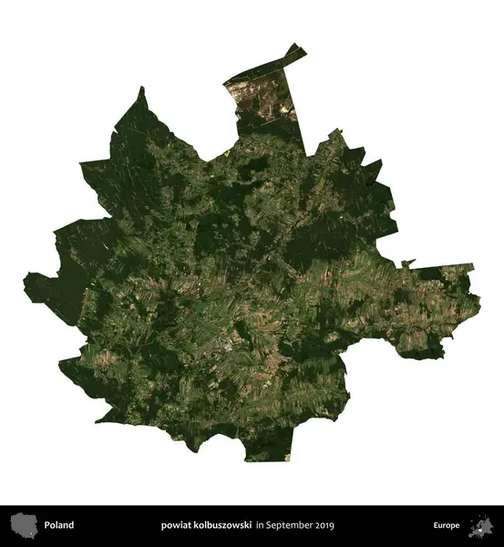 powiat kolbuszowski. Polonya idari bölgesi, Eylül 2019 'da çekilen Kopernik Nöbetçi karolarından oluşan bir uydu görüntüsü üzerinde beyaza izole edildi.