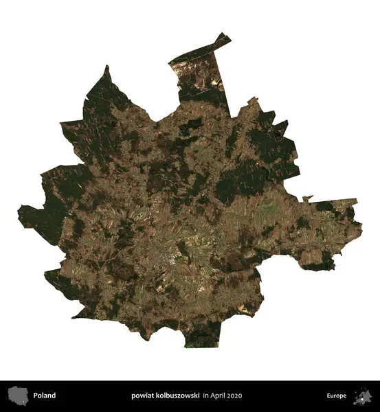 powiat kolbuszowski. Polonya idari bölgesi, Nisan 2020 'de çekilen Kopernik Nöbetçi karolarından oluşan bir uydu görüntüsü üzerinde beyaza izole edildi.