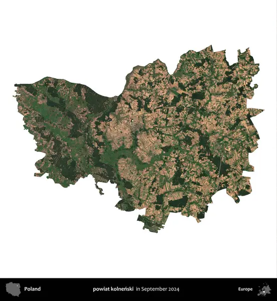 powiat kolnenski. Polonya idari bölgesi, Eylül 2024 'te çekilen Kopernik Nöbetçi karolarından oluşan bir uydu görüntüsü üzerinde beyaza izole edildi.