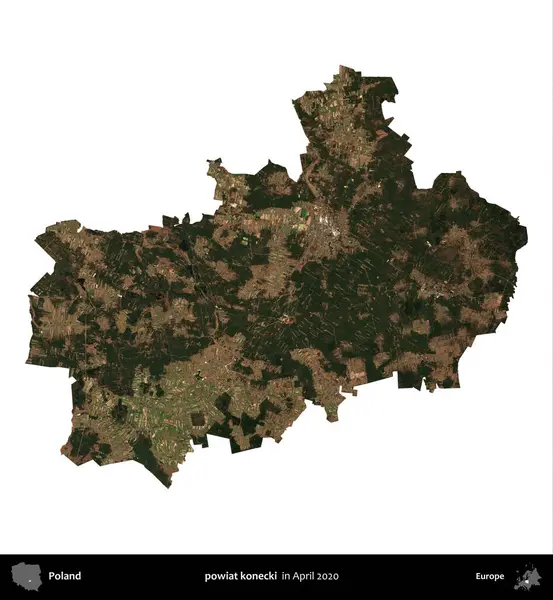 powiat konecki. Polonya idari bölgesi, Nisan 2020 'de çekilen Kopernik Nöbetçi karolarından oluşan bir uydu görüntüsü üzerinde beyaza izole edildi.