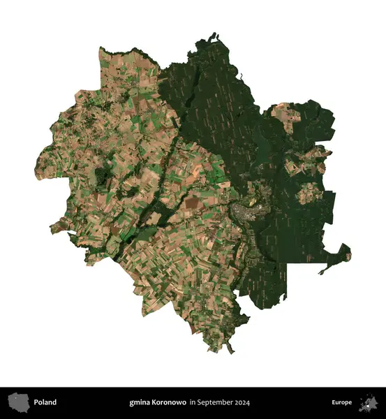 gmina Koronowo. Polonya idari bölgesi, Eylül 2024 'te çekilen Kopernik Nöbetçi karolarından oluşan bir uydu görüntüsü üzerinde beyaza izole edildi.