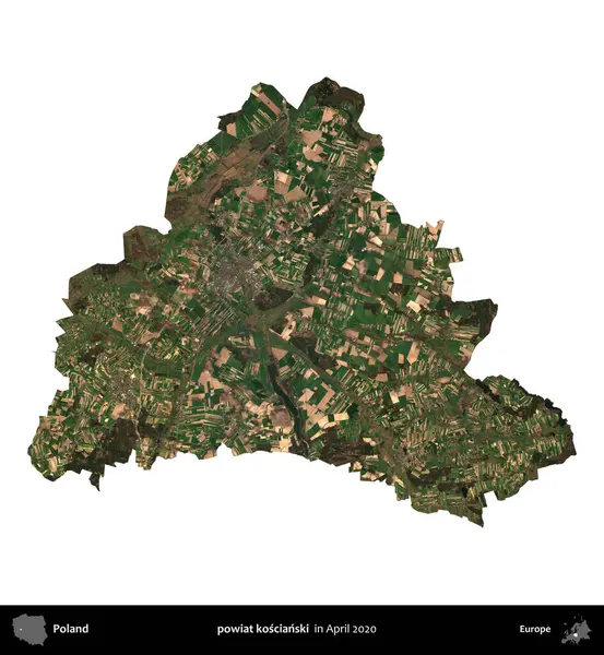 powiat koscianski. Polonya idari bölgesi, Nisan 2020 'de çekilen Kopernik Nöbetçi karolarından oluşan bir uydu görüntüsü üzerinde beyaza izole edildi.