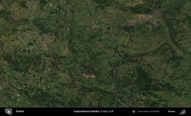 wojewodztwo lodzkie. Copernicus Sentinel 'in Mayıs 2018' de çekilmiş uydu görüntüsü üzerine Polonya 'nın idari bölgesi.