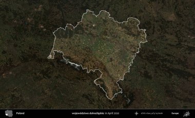 wojewodz2 dolnoslaskie. Polonya 'nın idari alanı, Nisan 2020' de çekilen Kopernik Nöbetçi karolarından oluşan koyu renkli bir uydu görüntüsü üzerine vurgulandı ve özetlendi