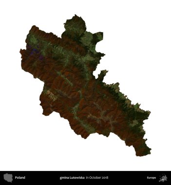 gmina Lutowiska. Polonya idari bölgesi, Ekim 2018 'de çekilen Kopernik Nöbetçi karolarından oluşan bir uydu görüntüsü üzerinde beyaza izole edildi.