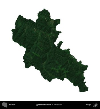 gmina Lutowiska. Polonya idari bölgesi, Haziran 2022 'de çekilen Kopernik Nöbetçi karolarından oluşan bir uydu görüntüsü üzerinde beyaza izole edildi.