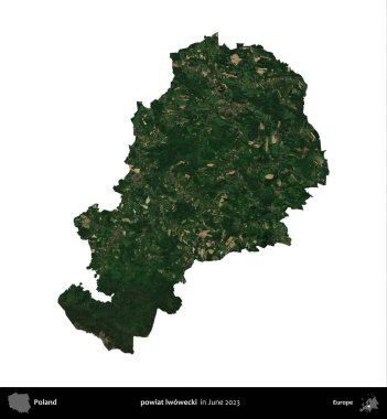 powiat lwowecki. Polonya idari bölgesi, Haziran 2023 'te çekilen Kopernik Nöbetçi karolarından oluşan bir uydu görüntüsü üzerinde beyaza izole edildi.