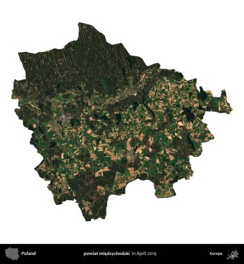 powiat miedzychodzki. Polonya idari bölgesi, Nisan 2019 'da çekilen Kopernik Nöbetçi karolarından oluşan bir uydu görüntüsü üzerinde beyaza izole edildi.