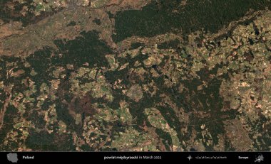 powiat miedzyrzecki. Copernicus Sentinel 'in Mart 2022' de çekilmiş uydu görüntüsü üzerine Polonya 'nın idari bölgesi.