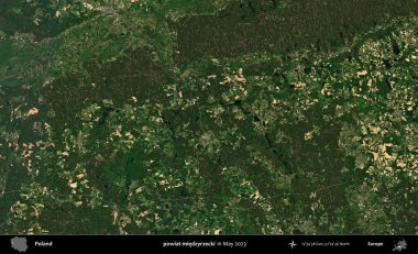 powiat miedzyrzecki. Copernicus Sentinel 'in Mayıs 2023' te çekilmiş uydu görüntüsü üzerine Polonya 'nın idari bölgesi.