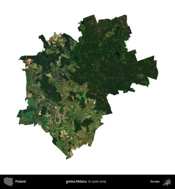 gmina Nidzica. Polonya idari bölgesi, Haziran 2019 'da çekilen Kopernik Nöbetçi karolarından oluşan bir uydu görüntüsü üzerinde beyaza izole edildi.