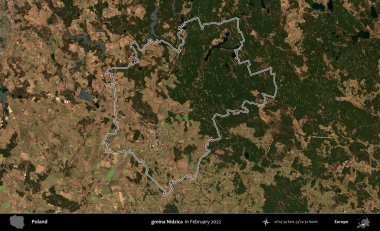 gmina Nidzica. Polonya 'nın idari bölgesinin ana hatlarını, Şubat 2022' de çekilen Kopernik Nöbetçi karolarından oluşan bir uydu görüntüsü oluşturdu.