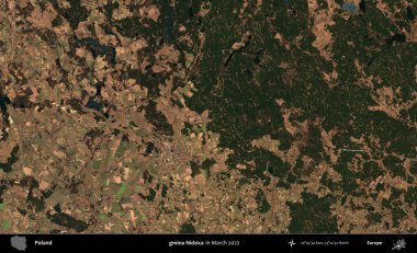 gmina Nidzica. Copernicus Sentinel 'in Mart 2022' de çekilmiş uydu görüntüsü üzerine Polonya 'nın idari bölgesi.