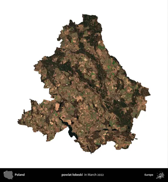 powiat lobeski. Polonya idari bölgesi, Mart 2022 'de çekilen Kopernik Nöbetçi karolarından oluşan bir uydu görüntüsü üzerinde beyaza izole edildi.