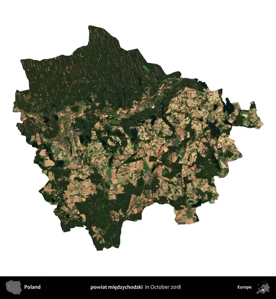 powiat miedzychodzki. Polonya idari bölgesi, Ekim 2018 'de çekilen Kopernik Nöbetçi karolarından oluşan bir uydu görüntüsü üzerinde beyaza izole edildi.