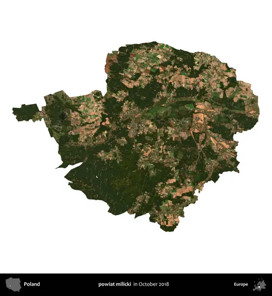 powiat milicki. Polonya idari bölgesi, Ekim 2018 'de çekilen Kopernik Nöbetçi karolarından oluşan bir uydu görüntüsü üzerinde beyaza izole edildi.