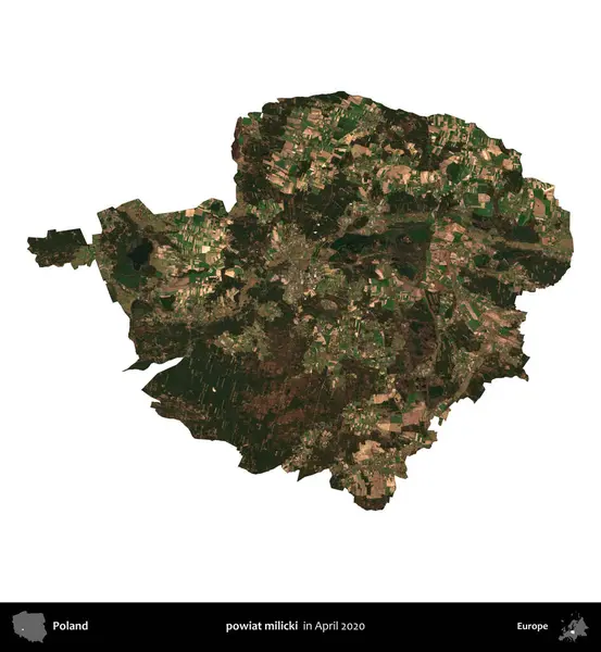 powiat milicki. Polonya idari bölgesi, Nisan 2020 'de çekilen Kopernik Nöbetçi karolarından oluşan bir uydu görüntüsü üzerinde beyaza izole edildi.