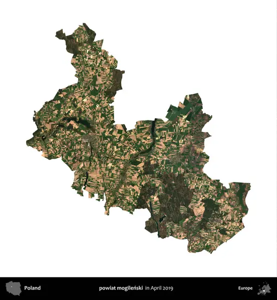 powiat mogilenski. Polonya idari bölgesi, Nisan 2019 'da çekilen Kopernik Nöbetçi karolarından oluşan bir uydu görüntüsü üzerinde beyaza izole edildi.