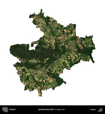 powiat obornicki. Polonya idari bölgesi, Mayıs 2017 'de çekilen Kopernik Nöbetçi karolarından oluşan bir uydu görüntüsü üzerinde beyaza izole edildi.