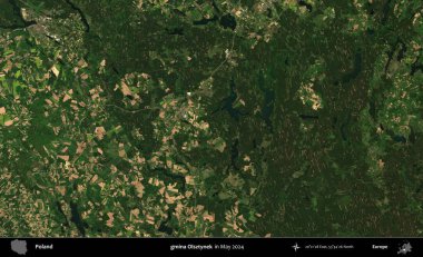 gmina Olsztynek. Mayıs 2024 'te Copernicus Sentinel karolarından oluşan uydu görüntüsü üzerine Polonya' nın idari bölgesi