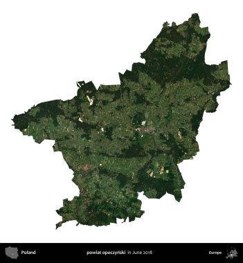 powiat opoczynski. Polonya idari bölgesi, Haziran 2018 'de çekilen Kopernik Nöbetçi karolarından oluşan bir uydu görüntüsü üzerinde beyaza izole edildi.