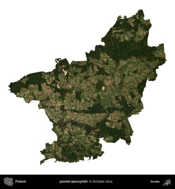powiat opoczynski. Polonya idari bölgesi, Ekim 2024 'te çekilen Kopernik Nöbetçi karolarından oluşan bir uydu görüntüsü üzerinde beyaza izole edildi.
