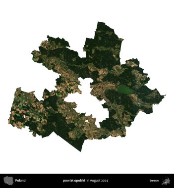 powiat opolski. Polonya idari bölgesi, Ağustos 2024 'te çekilen Kopernik Nöbetçi karolarından oluşan bir uydu görüntüsü üzerinde beyaza izole edildi.