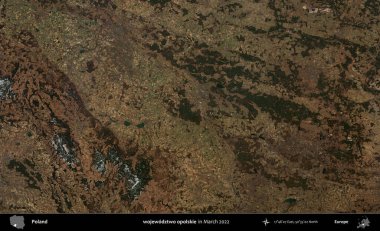 wojewodzZ iki opolskie. Copernicus Sentinel 'in Mart 2022' de çekilmiş uydu görüntüsü üzerine Polonya 'nın idari bölgesi.