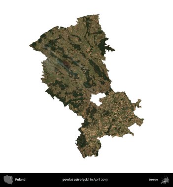 powiat ostrolecki. Polonya idari bölgesi, Nisan 2019 'da çekilen Kopernik Nöbetçi karolarından oluşan bir uydu görüntüsü üzerinde beyaza izole edildi.