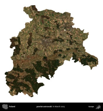 powiat ostrowski. Polonya idari bölgesi, Mart 2025 'te çekilen Kopernik Nöbetçi karolarından oluşan bir uydu görüntüsü üzerinde beyaza izole edildi.