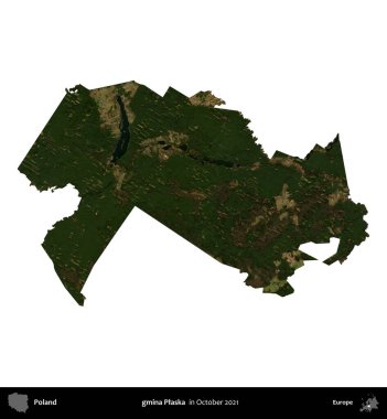 gmina Plaska. Polonya idari bölgesi, Ekim 2021 'de çekilen Kopernik Nöbetçi karolarından oluşan bir uydu görüntüsü üzerinde beyaza izole edildi.