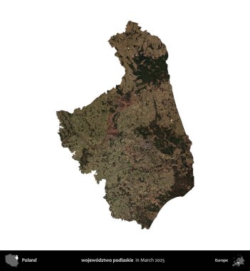 wojewodzz iki podlaskie. Polonya idari bölgesi, Mart 2025 'te çekilen Kopernik Nöbetçi karolarından oluşan bir uydu görüntüsü üzerinde beyaza izole edildi.