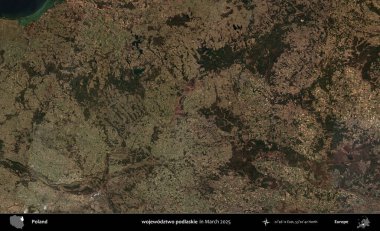 wojewodzz iki podlaskie. Copernicus Sentinel 'in Mart 2025' te çekilmiş uydu görüntüsü üzerine Polonya 'nın idari bölgesi