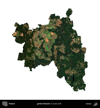 gmina Polanow. Polonya idari bölgesi, Haziran 2018 'de çekilen Kopernik Nöbetçi karolarından oluşan bir uydu görüntüsü üzerinde beyaza izole edildi.